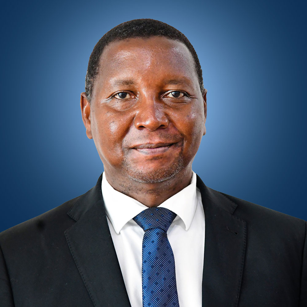 Mhe. Prof Adolf Mkenda